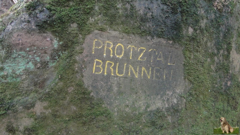 Ritterstein Nr. 148-1 Protztalbrunnen.JPG -  Ritterstein Nr.148  Protztalbrunnen                              